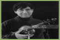 David Shapiro (musician)