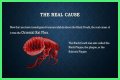 What Really Caused the Black Death: Anthrax or Celestial Bodies?